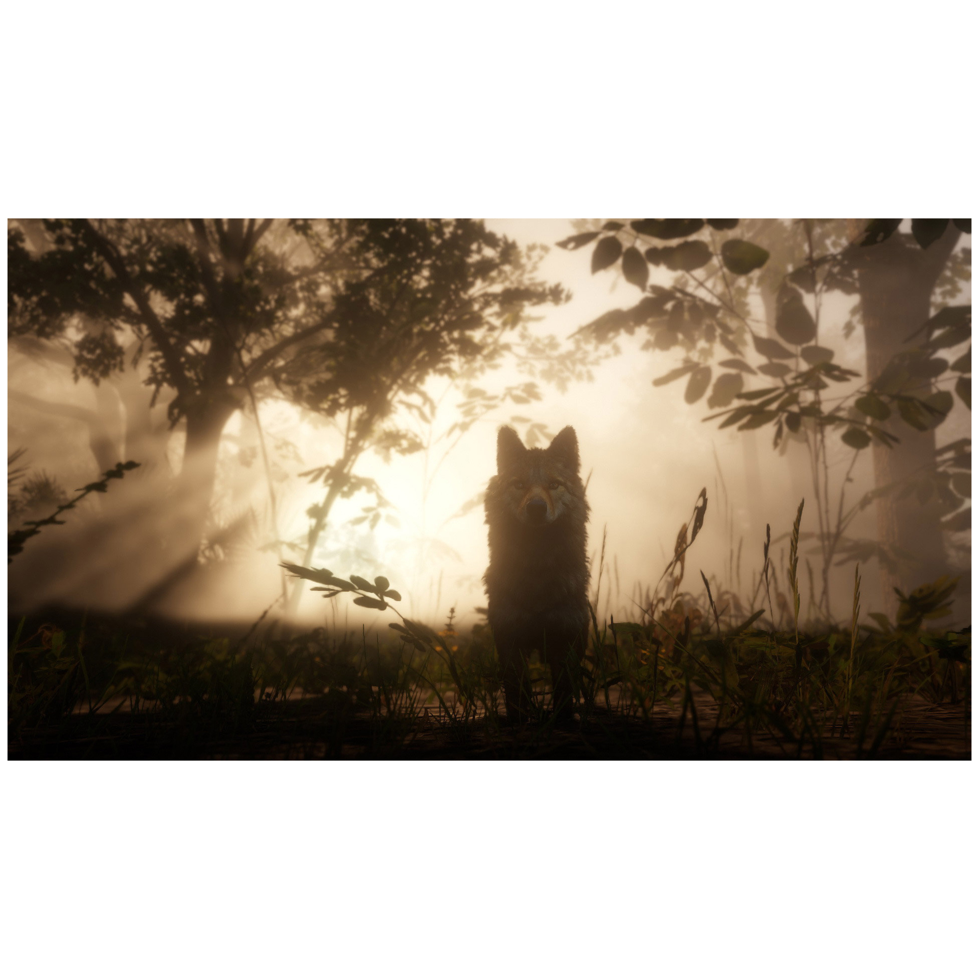 Dead Redemption 2 Ps4 Take 2 Interactive Le Jeu Vidéo - vue 6