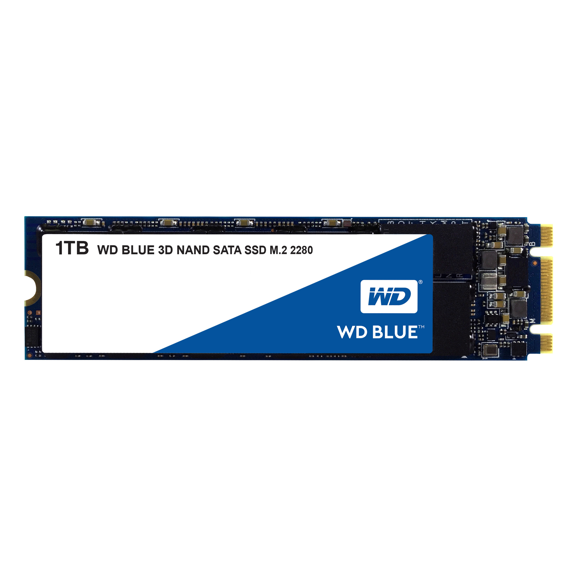 WD ™ Disque SSD Interne 3D Nand .2 SATA WDS100T2B0B