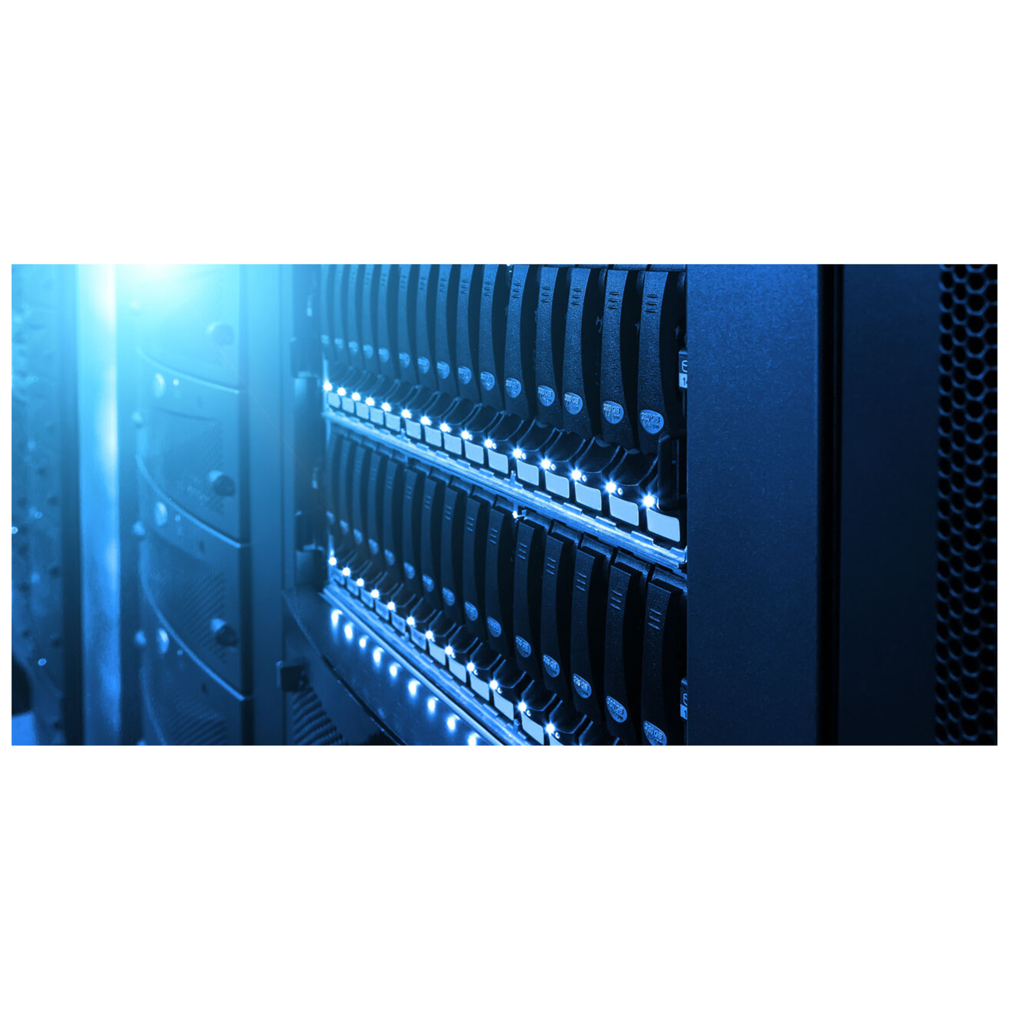 Western Digital WD Gold 16 To WD161KRYZ - vue 5