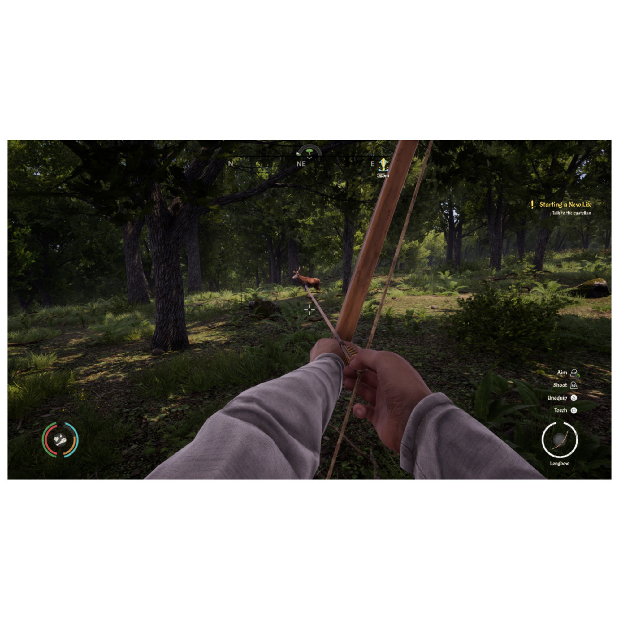 Medieval Dynasty Ps5 - vue 5