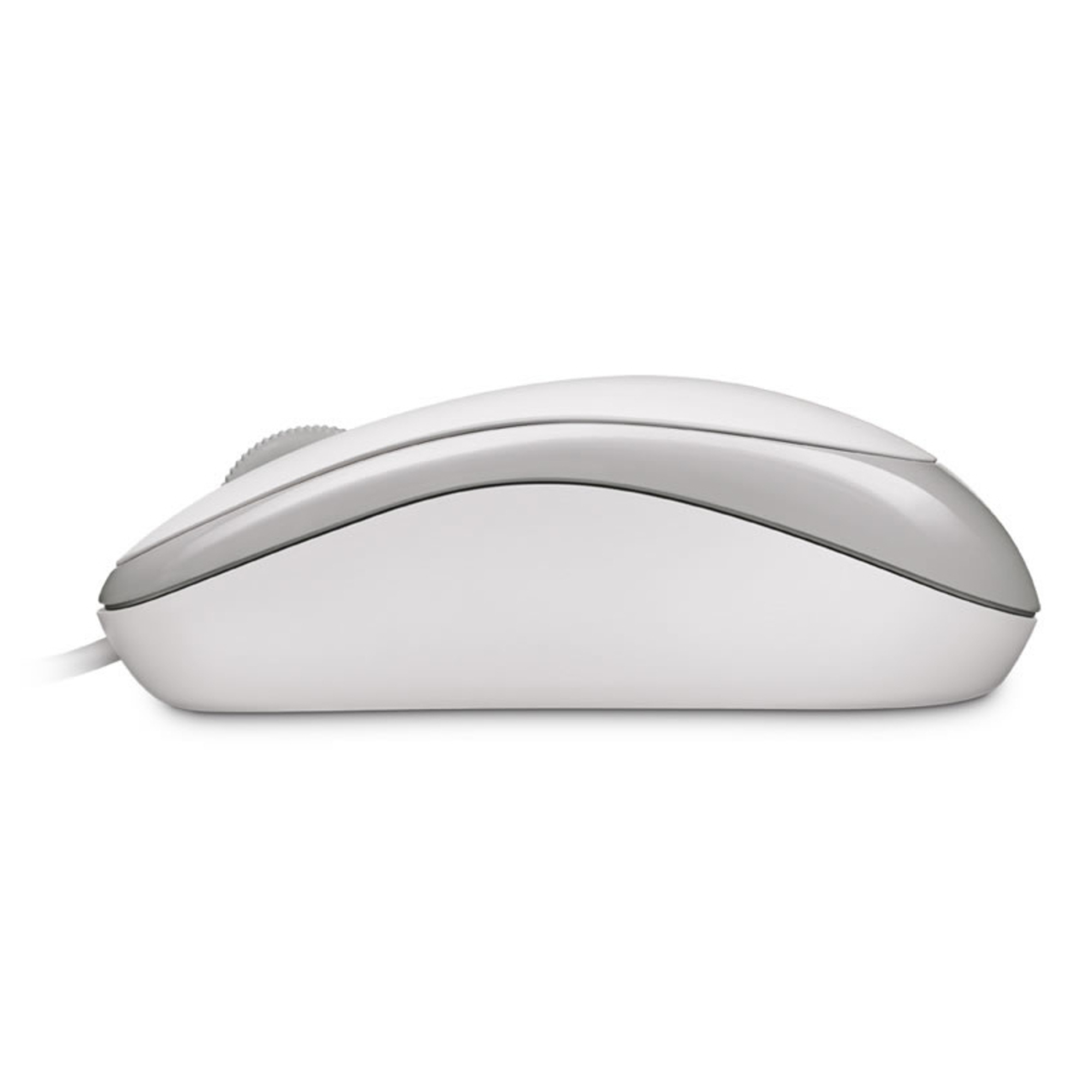 Microsoft Basic Optical Mouse for Business souris Bureau Ambidextre USB Type-A Optique 800 DPI - Neuf