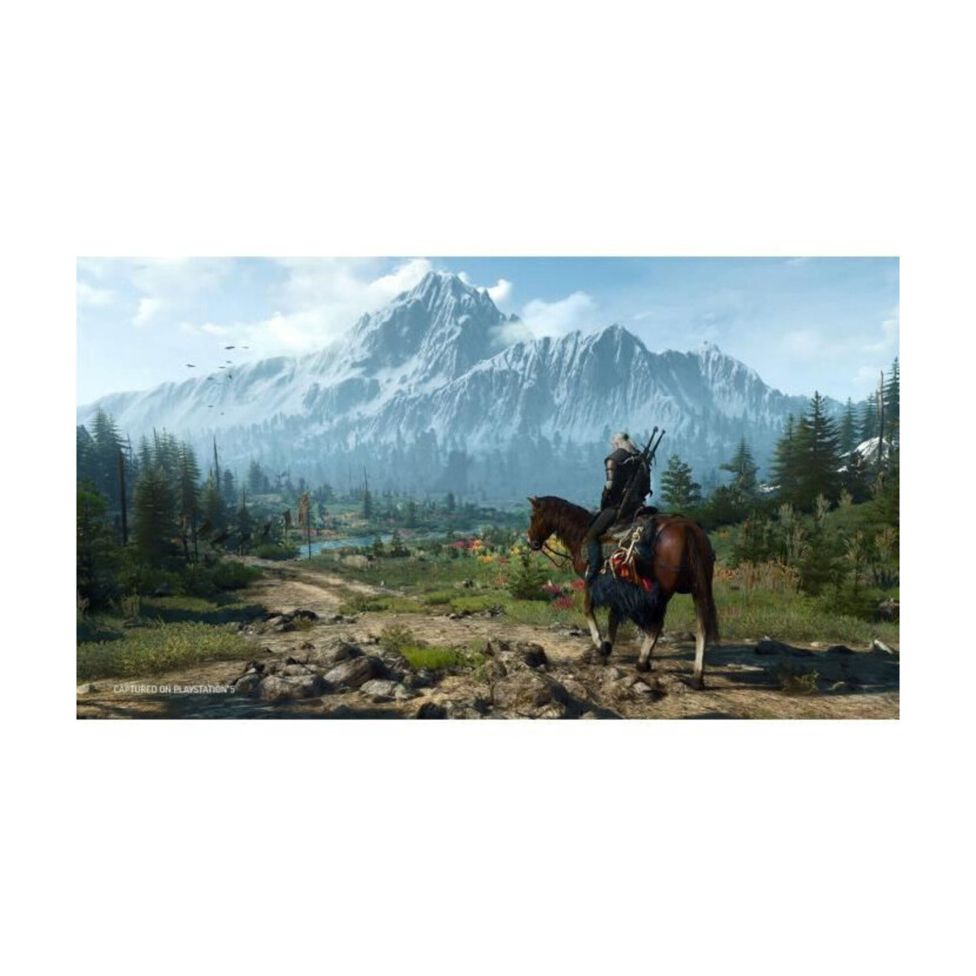 The Witcher 3 Wild Hunt Complete Edition (PS5) - Neuf