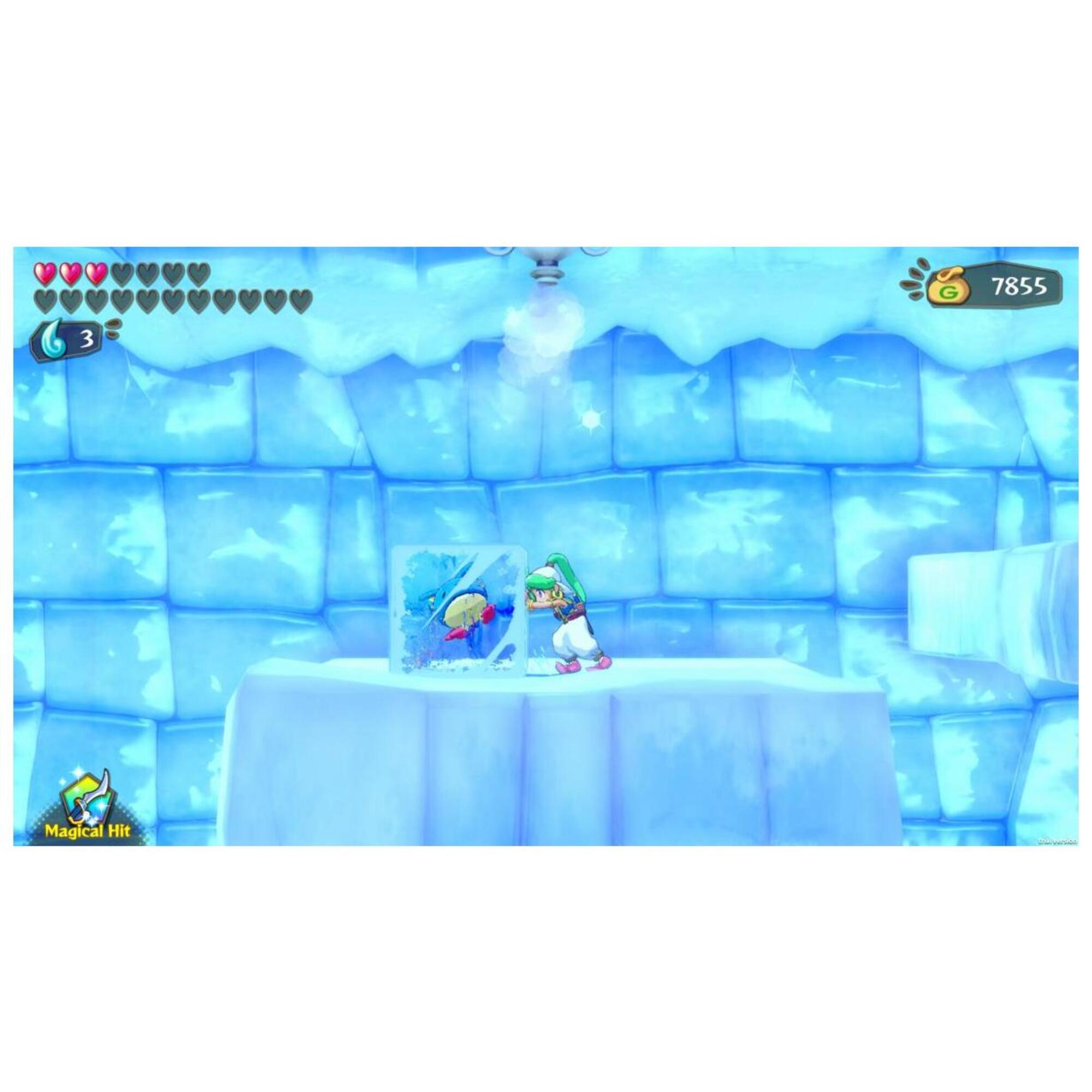 Wonder Boy Asha in Monster World Nintendo Switch - vue 2