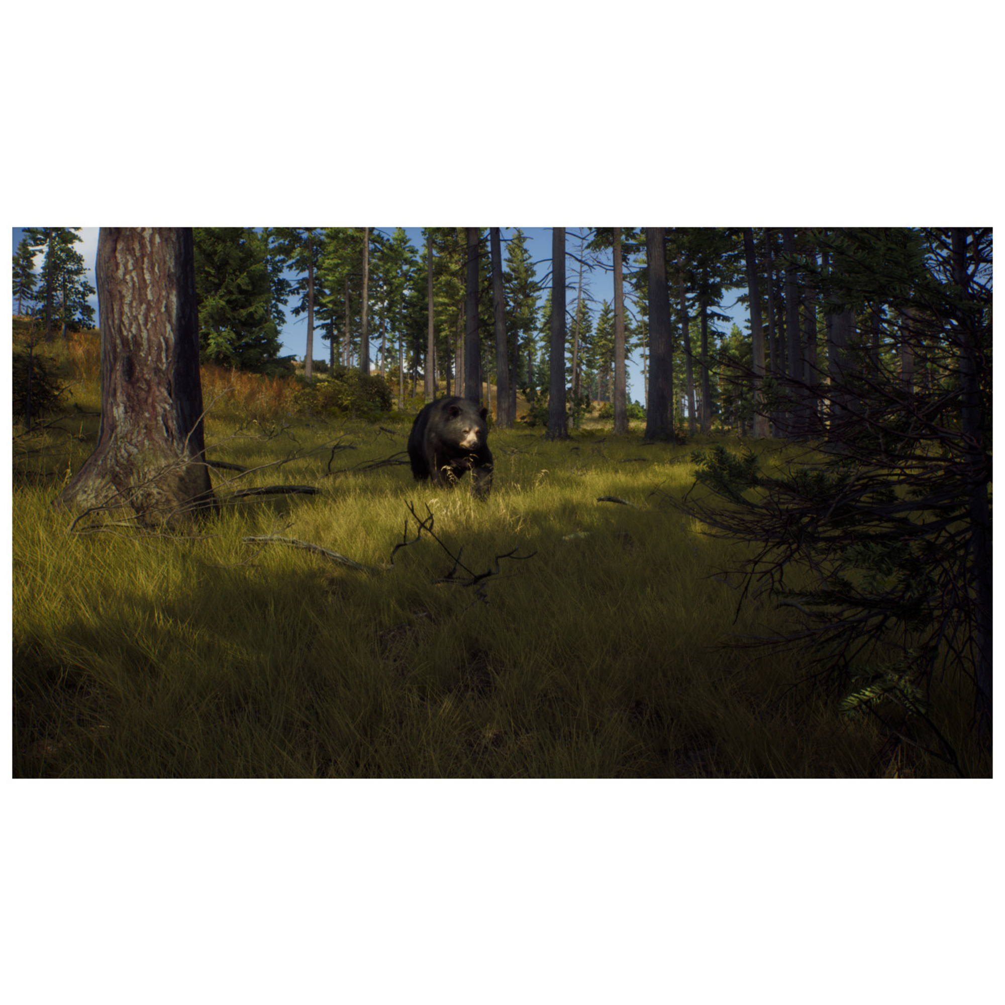 Way of the Hunter PC - Neuf