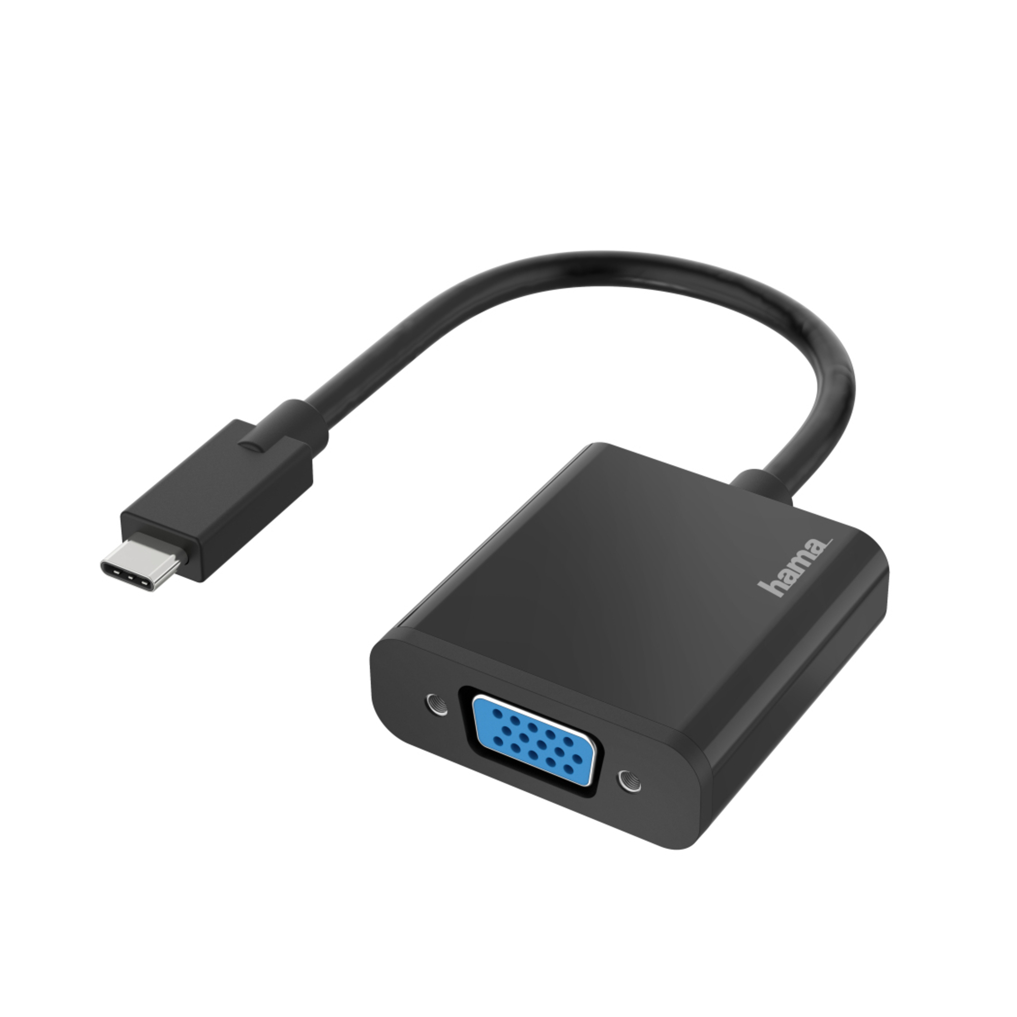 Hama 00200317 câble vidéo et adaptateur USB Type C VGA D Sub Neuf