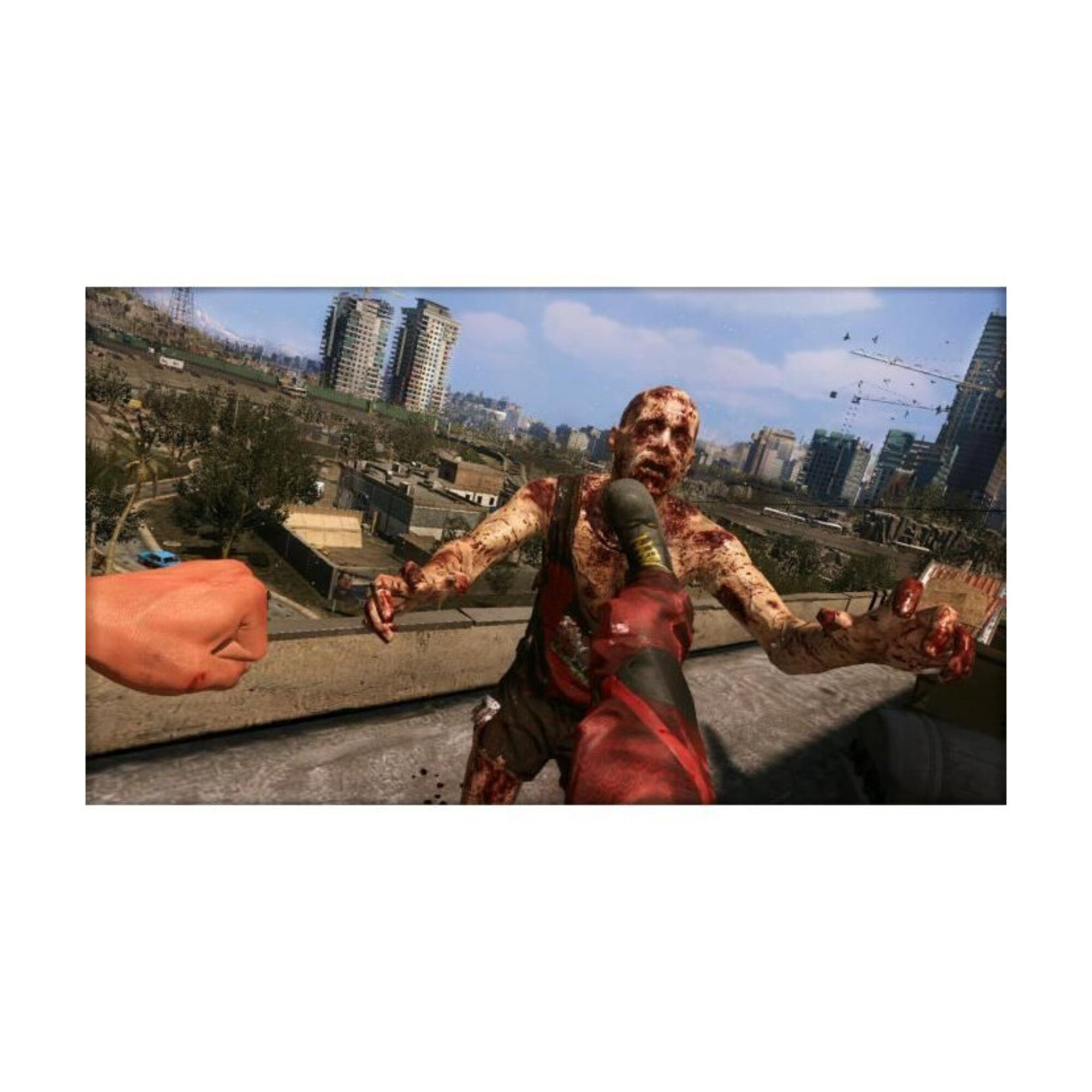 Dying : Platinum Edition Switch - vue 4